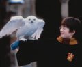 Harry Potter and the Philosopher's Stone Photo 1
