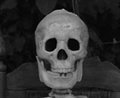 The Lost Skeleton of Cadavra Photo 1