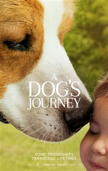 A Dog's Journey Photo 12