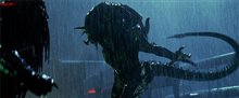 Aliens vs. Predator: Requiem Photo 6 - Large