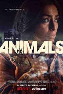 Animals Photo 13