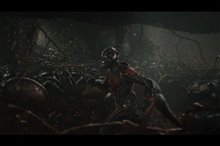 Ant-Man Photo 19