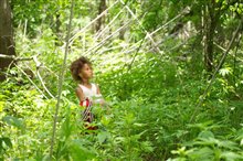 Beasts of the Southern Wild Photo 12