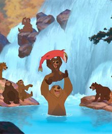 Brother Bear Photo 7 - Large