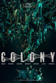 Colony Photo 15
