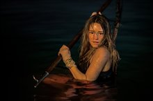 Gallery Picture