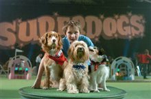 Daniel and the Superdogs Photo 2