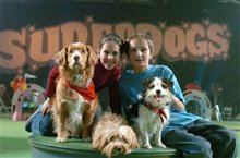 Daniel and the Superdogs Photo 6