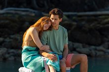 Gallery Picture