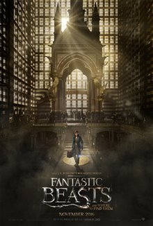 Fantastic Beasts and Where to Find Them Photo 44