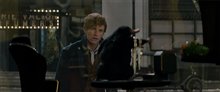 Fantastic Beasts and Where to Find Them Photo 34