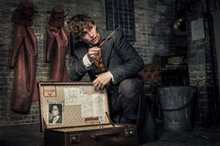 Fantastic Beasts: The Crimes of Grindelwald Photo 97