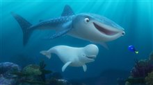 Finding Dory Photo 16