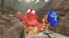 Finding Dory Photo 18