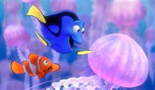 Finding Nemo Photo 3 - Large