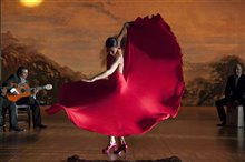 Flamenco, Flamenco Photo 20