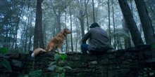 Good Boy Photo 3