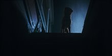 Good Boy Photo 7