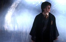 Harry Potter and the Chamber of Secrets Photo 19