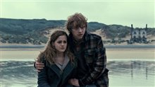 Harry Potter and the Deathly Hallows: Part 1 Photo 21