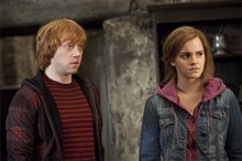Harry Potter and the Deathly Hallows: Part 2 Photo 56