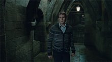 Harry Potter and the Deathly Hallows: Part 2 Photo 70
