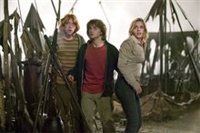Harry Potter and the Goblet of Fire Photo 35 - Large