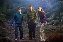 Harry Potter and the Order of the Phoenix Photo 10