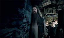 Harry Potter and the Order of the Phoenix Photo 31