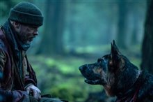 Heart of the Beast Photo 8