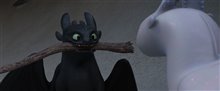 How to Train Your Dragon: The Hidden World Photo 17