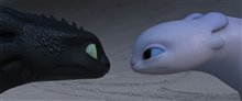 How to Train Your Dragon: The Hidden World Photo 41