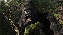 King Kong Photo 21 - Large