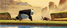 Kung Fu Panda Photo 2