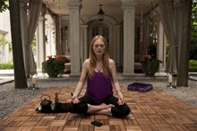 Maps to the Stars Photo 5