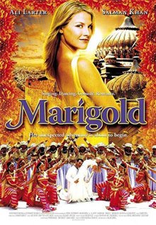 Marigold Photo 9 - Large