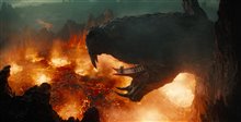 Masters of the Universe Photo 25