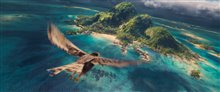 Moana Photo 15