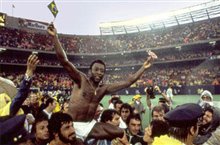 Once in a Lifetime: The Extraordinary Story of the New York Cosmos Photo 2