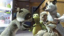 Over the Hedge Photo 13