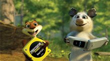 Over the Hedge Photo 15