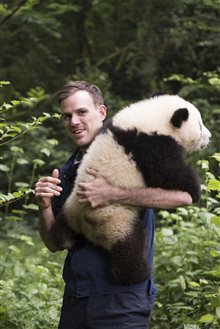 Pandas Photo 25