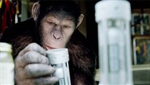 Rise of the Planet of the Apes Photo 4