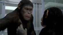 Rise of the Planet of the Apes Photo 6