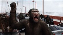 Rise of the Planet of the Apes Photo 10