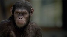 Rise of the Planet of the Apes Photo 14