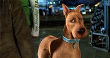 Scooby-Doo 2: Monsters Unleashed Photo 16