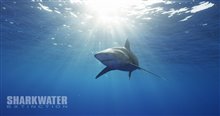 Sharkwater Extinction Photo 24