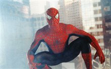 Spider-Man Photo 7 - Large