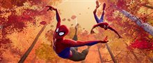 Spider-Man: Into the Spider-Verse Photo 1